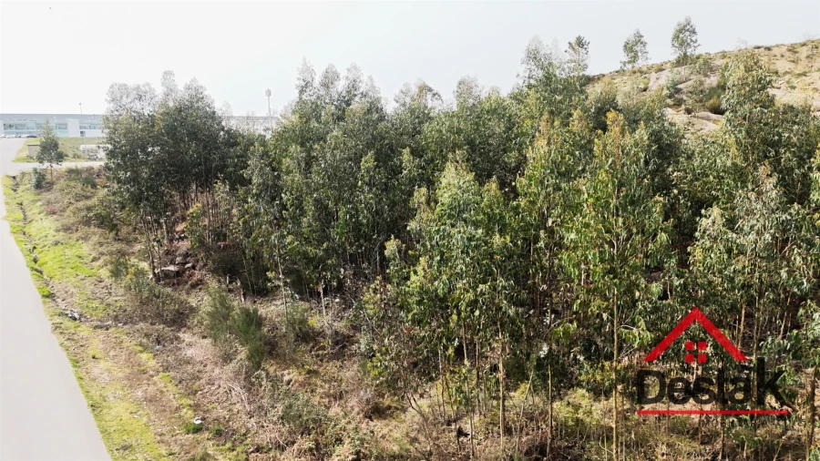 Terreno para Venda em Pinheiro Foto 14