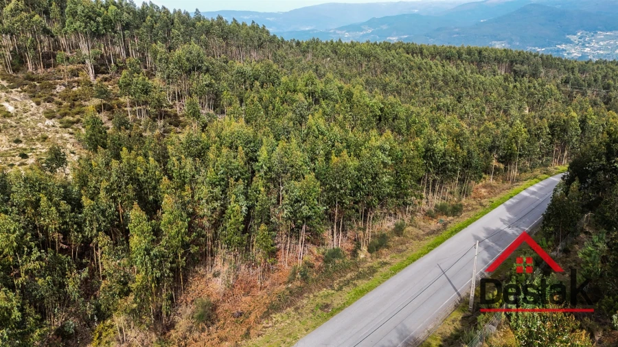 Terreno para Venda em Pinheiro Foto 4
