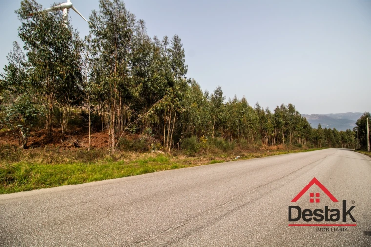 Terreno para Venda em Pinheiro Foto 17