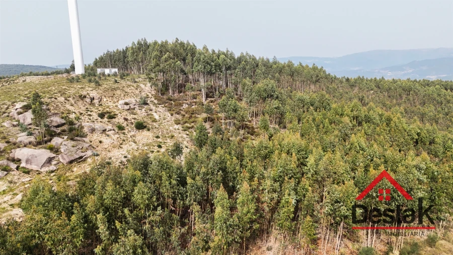 Terreno para Venda em Pinheiro Foto 5