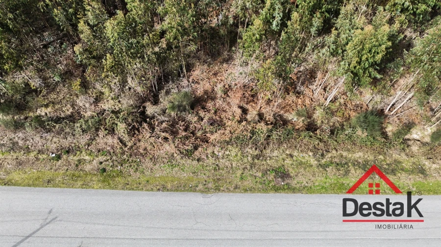 Terreno para Venda em Pinheiro Foto 8