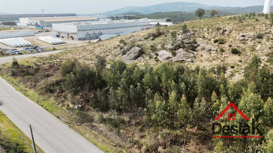 Terreno para Venda em Pinheiro Foto 9