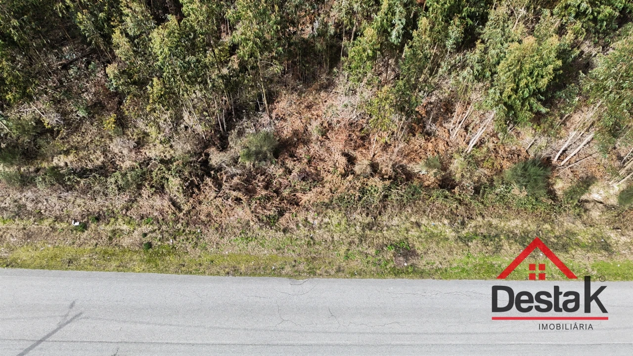 Terreno para Venda em Pinheiro Foto 8