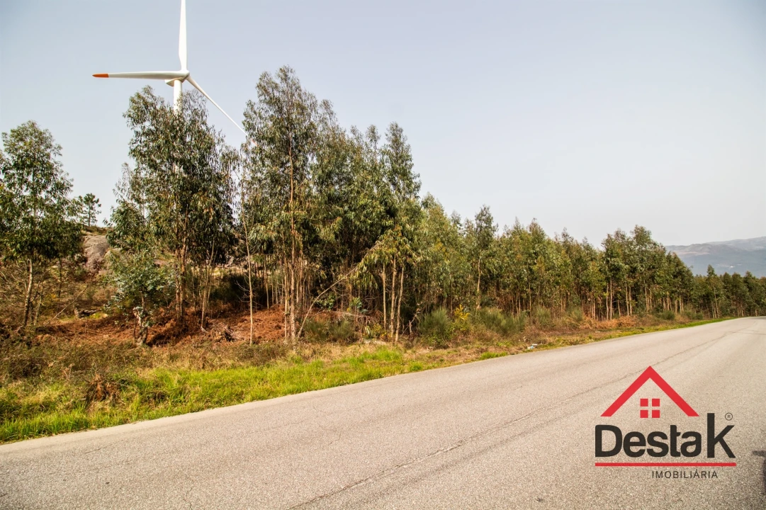 Terreno para Venda em Pinheiro Foto 19