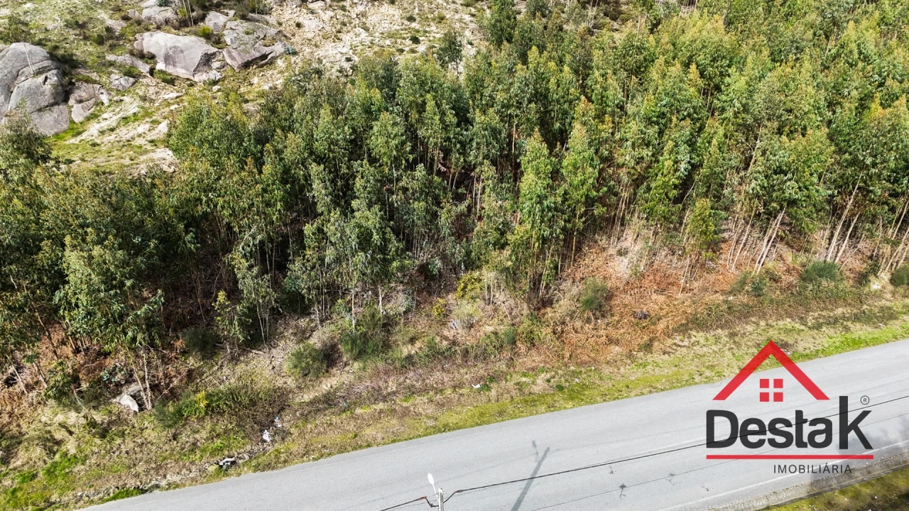Terreno para Venda em Pinheiro Foto 3