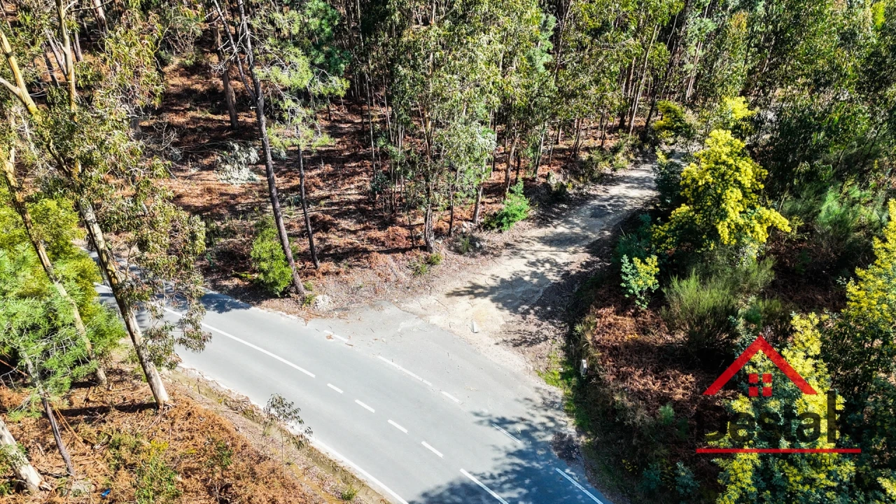 Terreno para Venda em São Pedro do Sul, Várzea e Baiões Foto 12