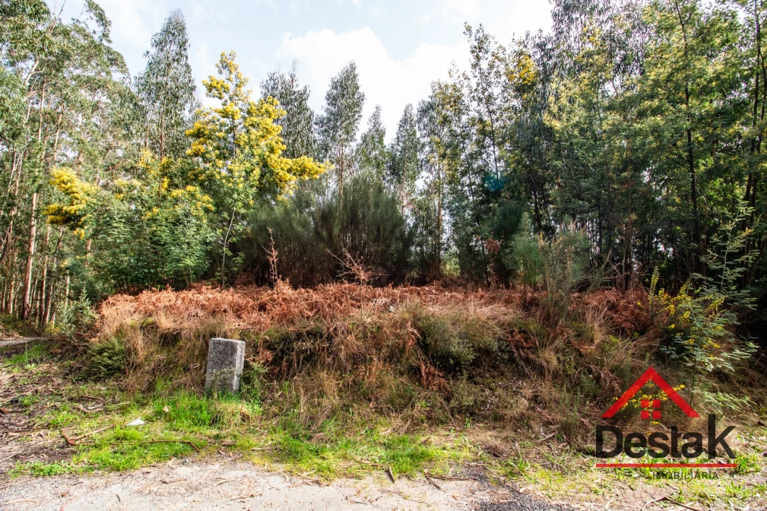 Terreno para Venda em São Pedro do Sul, Várzea e Baiões Foto 22
