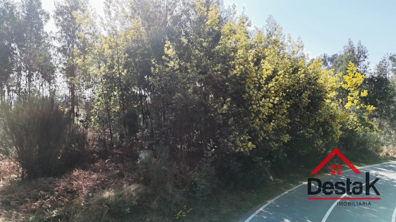 Terreno para Venda em São Pedro do Sul, Várzea e Baiões Foto 15