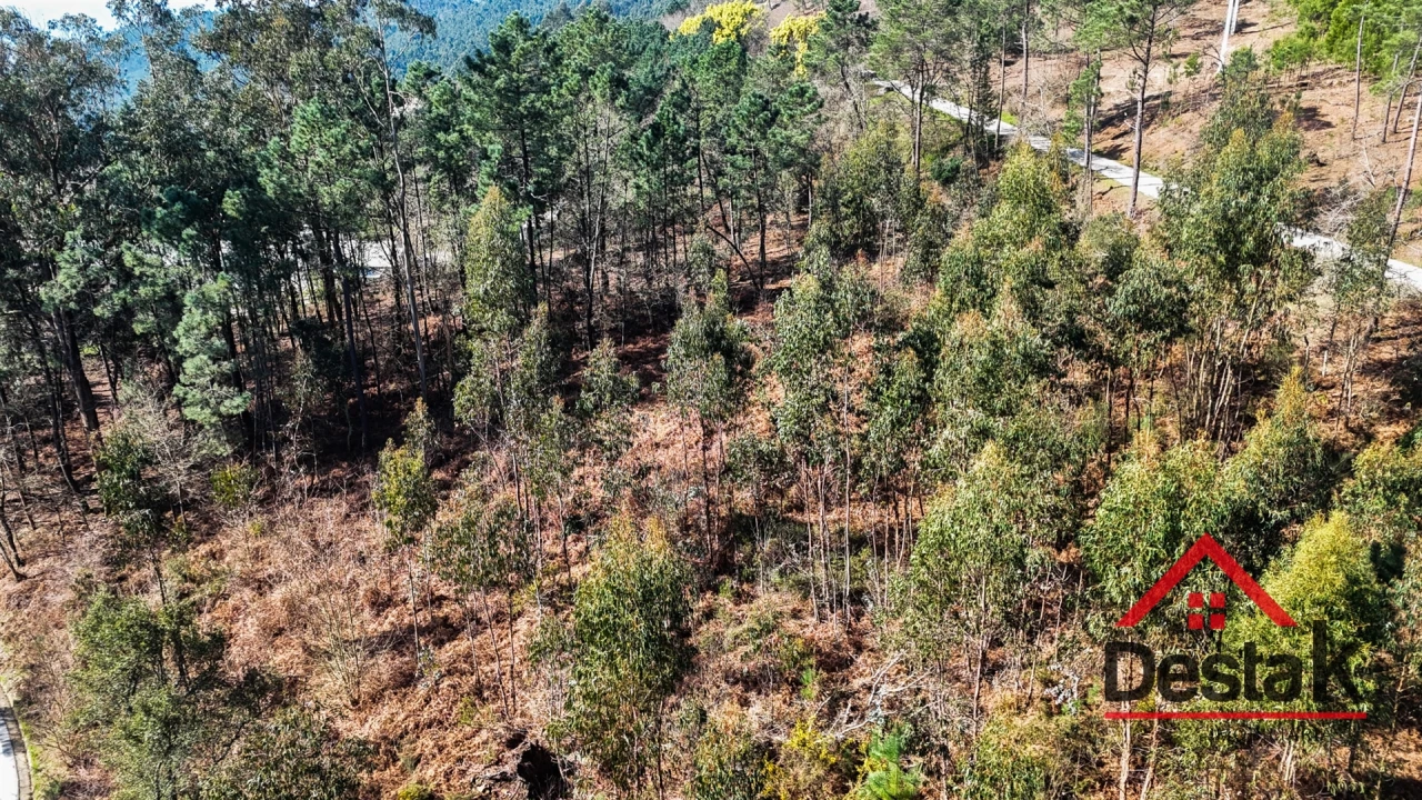 Terreno para Venda em São Pedro do Sul, Várzea e Baiões Foto 4