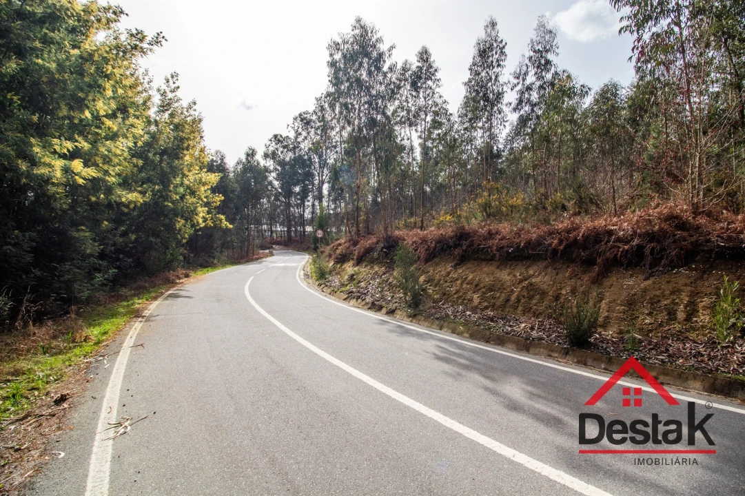 Terreno para Venda em São Pedro do Sul, Várzea e Baiões Foto 23