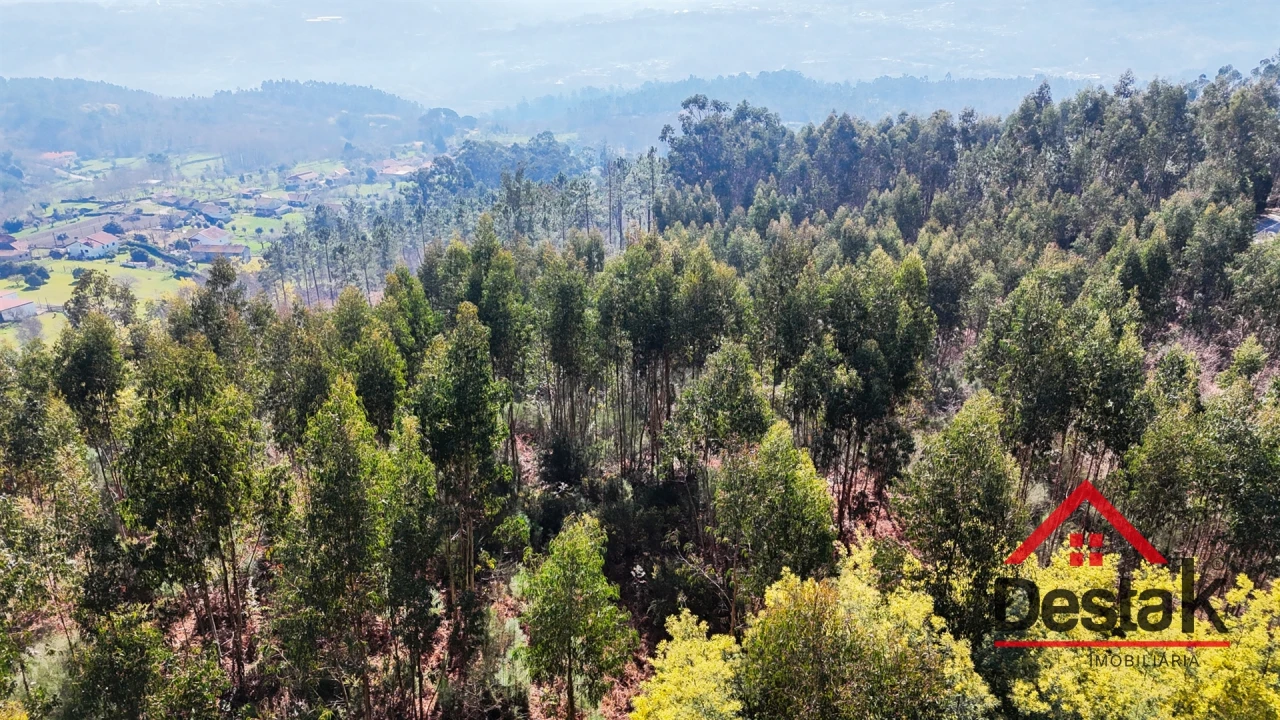 Terreno para Venda em São Pedro do Sul, Várzea e Baiões Foto 2