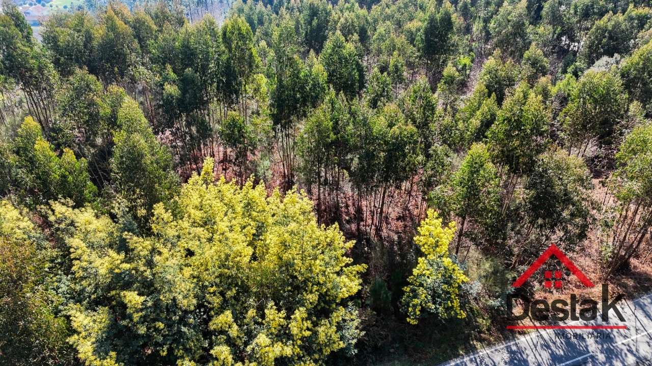 Terreno para Venda em São Pedro do Sul, Várzea e Baiões Foto 5