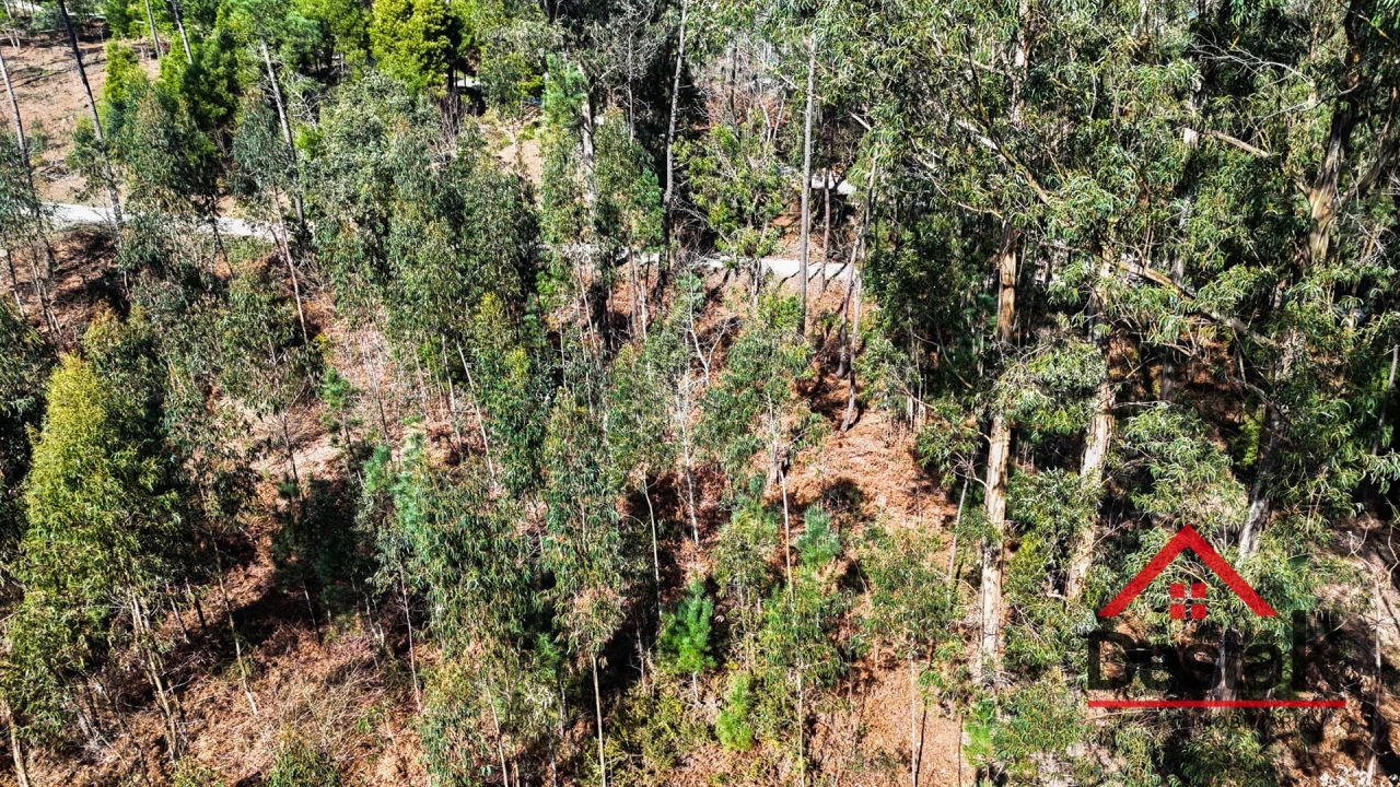 Terreno para Venda em São Pedro do Sul, Várzea e Baiões Foto 10