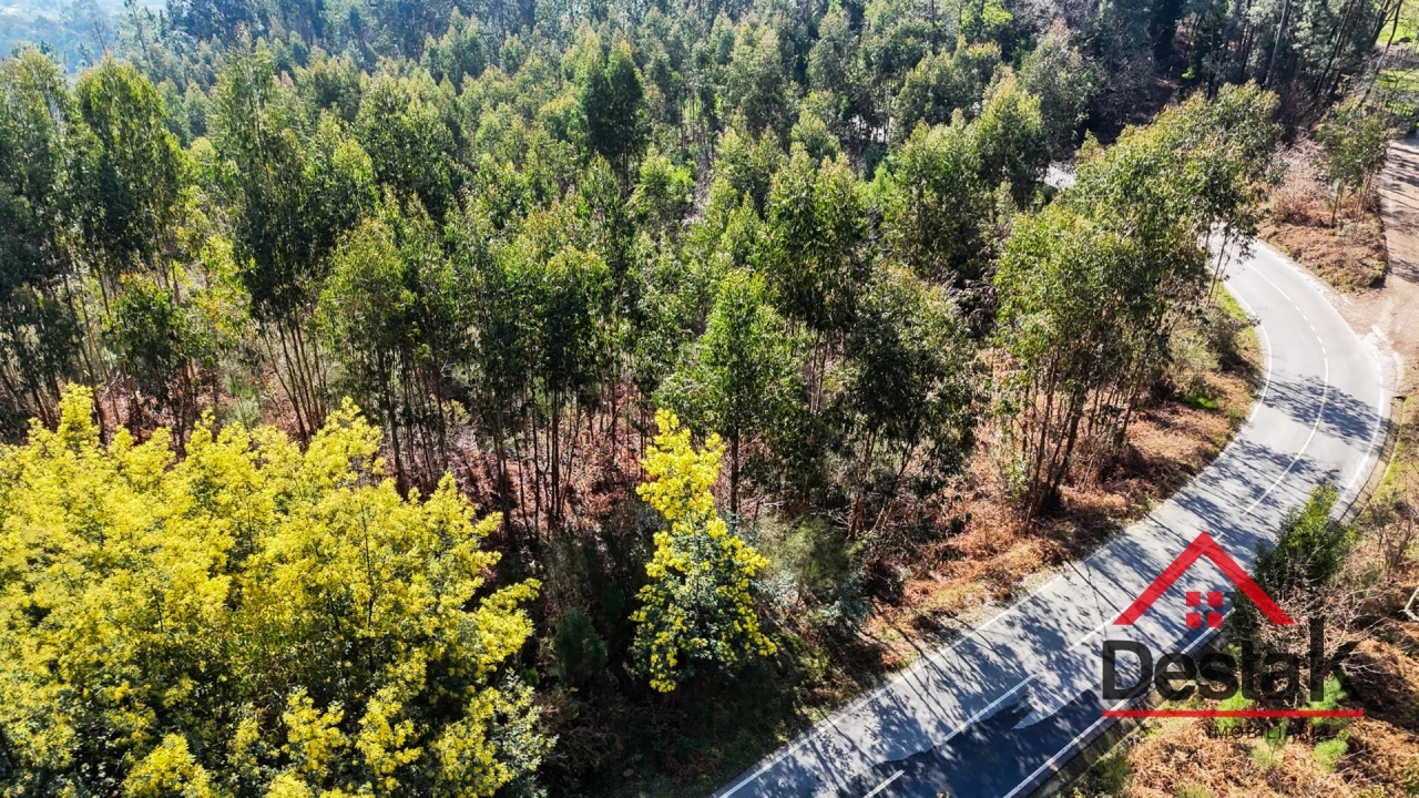 Terreno para Venda em São Pedro do Sul, Várzea e Baiões Foto 1