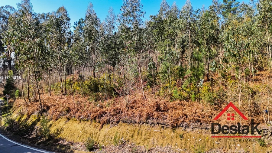 Terreno para Venda em São Pedro do Sul, Várzea e Baiões Foto 16