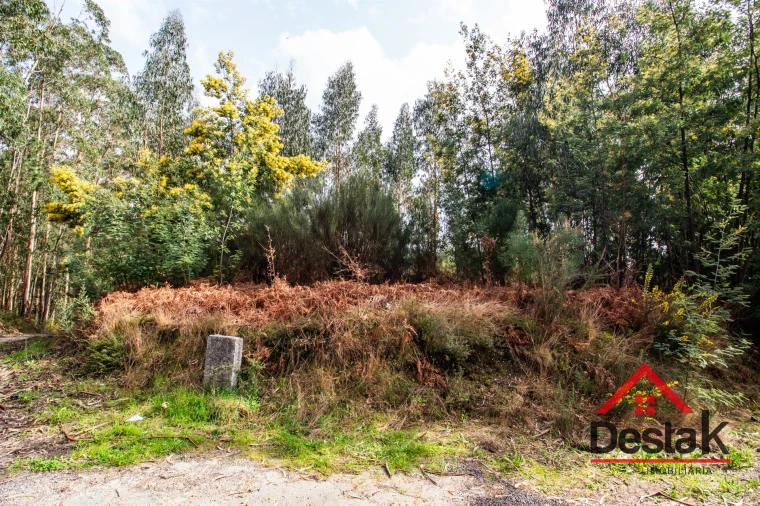 Terreno para Venda em São Pedro do Sul, Várzea e Baiões Foto 22