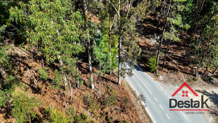 Terreno para Venda em São Pedro do Sul, Várzea e Baiões Foto 11