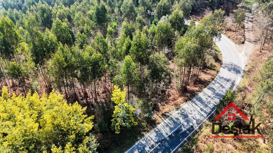 Terreno para Venda em São Pedro do Sul, Várzea e Baiões Foto 6