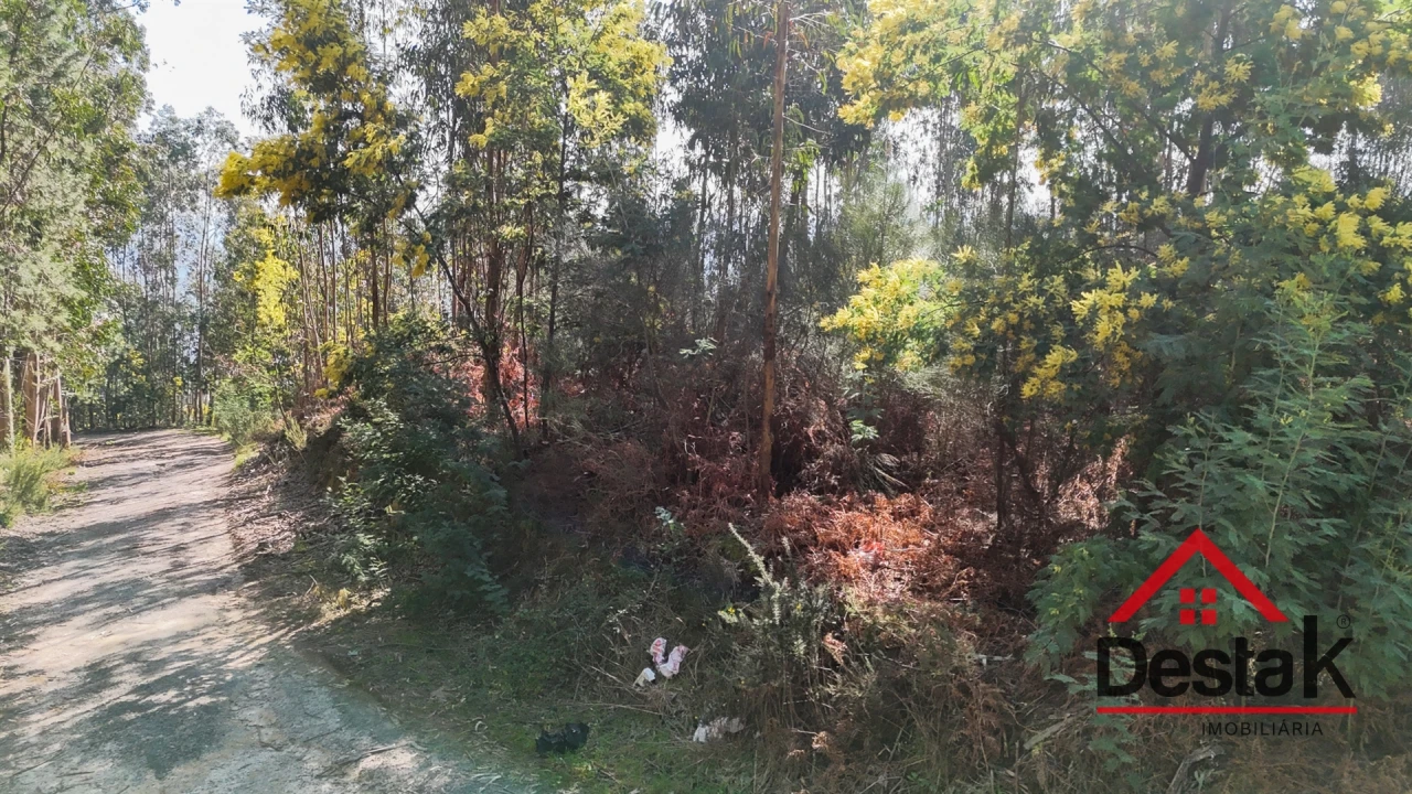 Terreno para Venda em São Pedro do Sul, Várzea e Baiões Foto 18