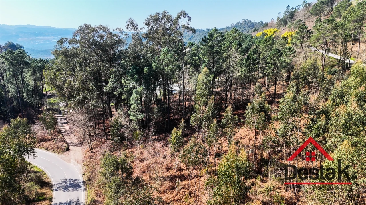 Terreno para Venda em São Pedro do Sul, Várzea e Baiões Foto 9