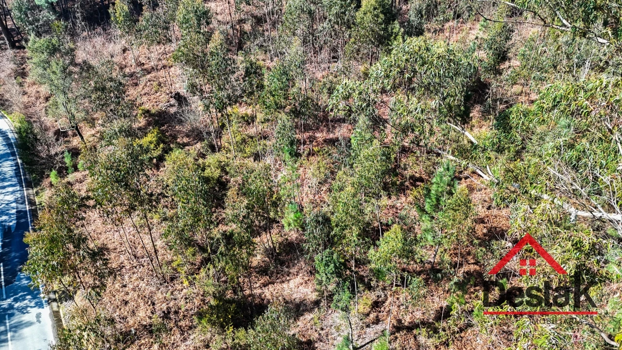 Terreno para Venda em São Pedro do Sul, Várzea e Baiões Foto 3