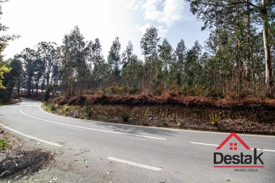 Terreno para Venda em São Pedro do Sul, Várzea e Baiões Foto 20