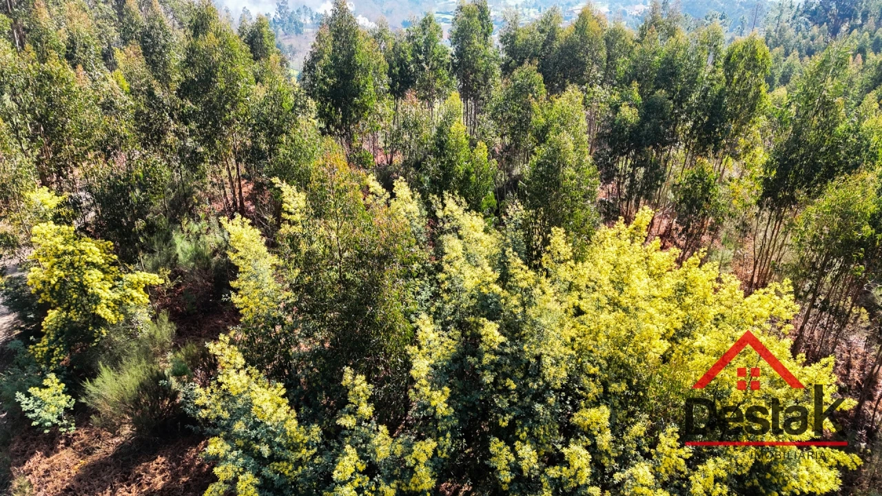 Terreno para Venda em São Pedro do Sul, Várzea e Baiões Foto 13