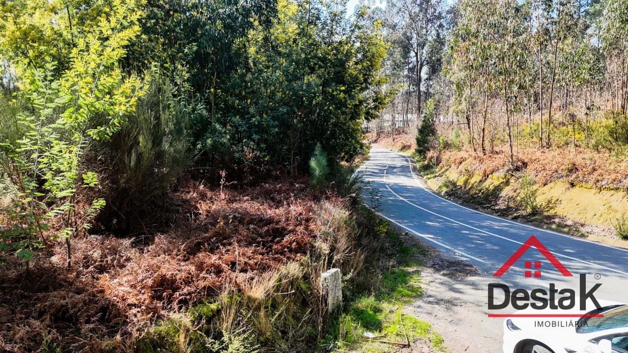 Terreno para Venda em São Pedro do Sul, Várzea e Baiões Foto 19