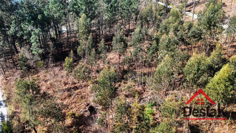 Terreno para Venda em São Pedro do Sul, Várzea e Baiões Foto 8