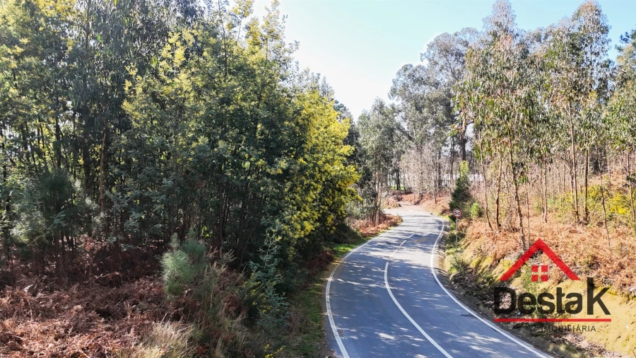 Terreno para Venda em São Pedro do Sul, Várzea e Baiões