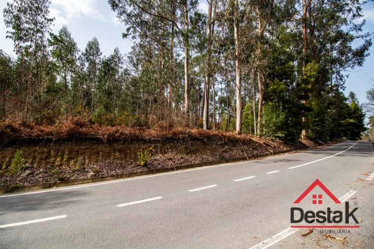 Terreno para Venda em São Pedro do Sul, Várzea e Baiões Foto 21
