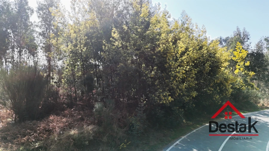 Terreno para Venda em São Pedro do Sul, Várzea e Baiões Foto 16