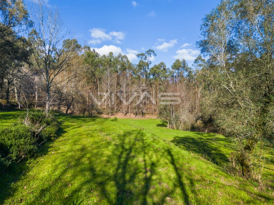 Terreno Agricola ou Rústico para Venda em Ribeira do Neiva Foto 15