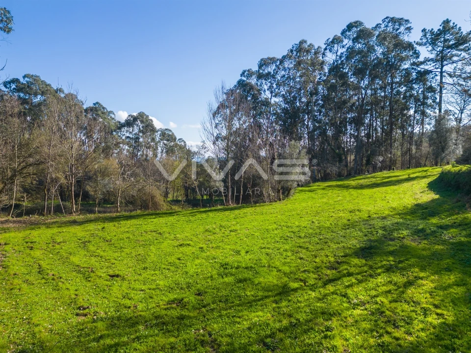 Terreno Agricola ou Rústico para Venda em Ribeira do Neiva Foto 13