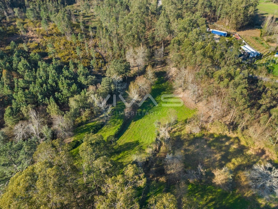 Terreno Agricola ou Rústico para Venda em Ribeira do Neiva Foto 20