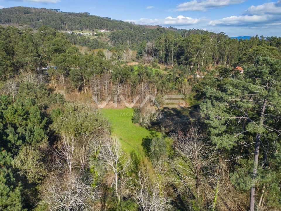 Terreno Agricola ou Rústico para Venda em Ribeira do Neiva Foto 11