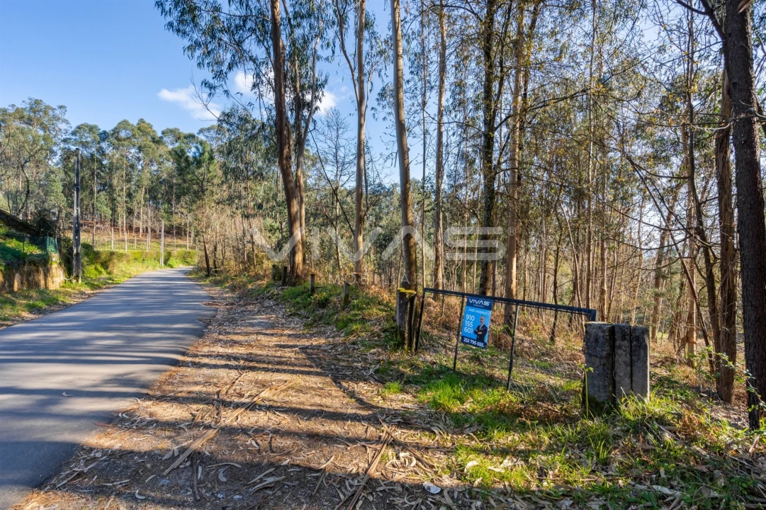 Terreno Agricola ou Rústico para Venda em Ribeira do Neiva Foto 28