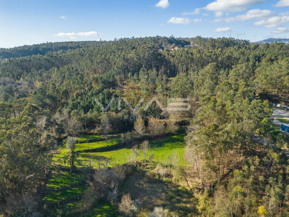 Terreno Agricola ou Rústico para Venda em Ribeira do Neiva Foto 17