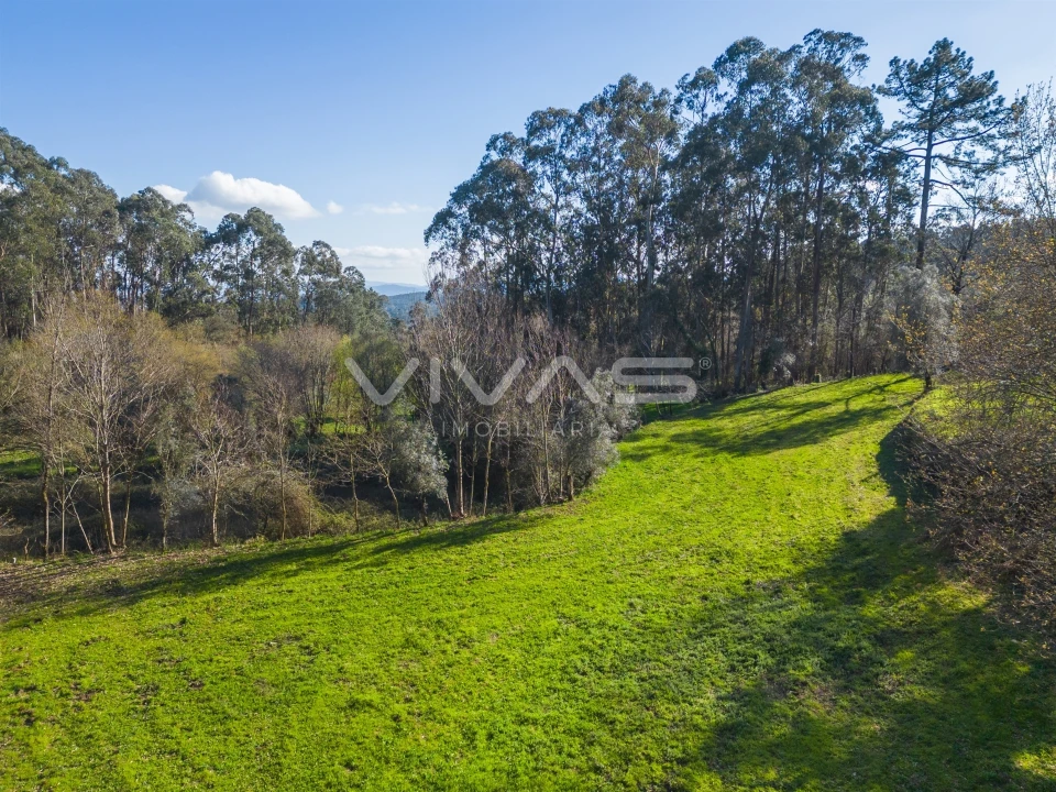 Terreno Agricola ou Rústico para Venda em Ribeira do Neiva Foto 12