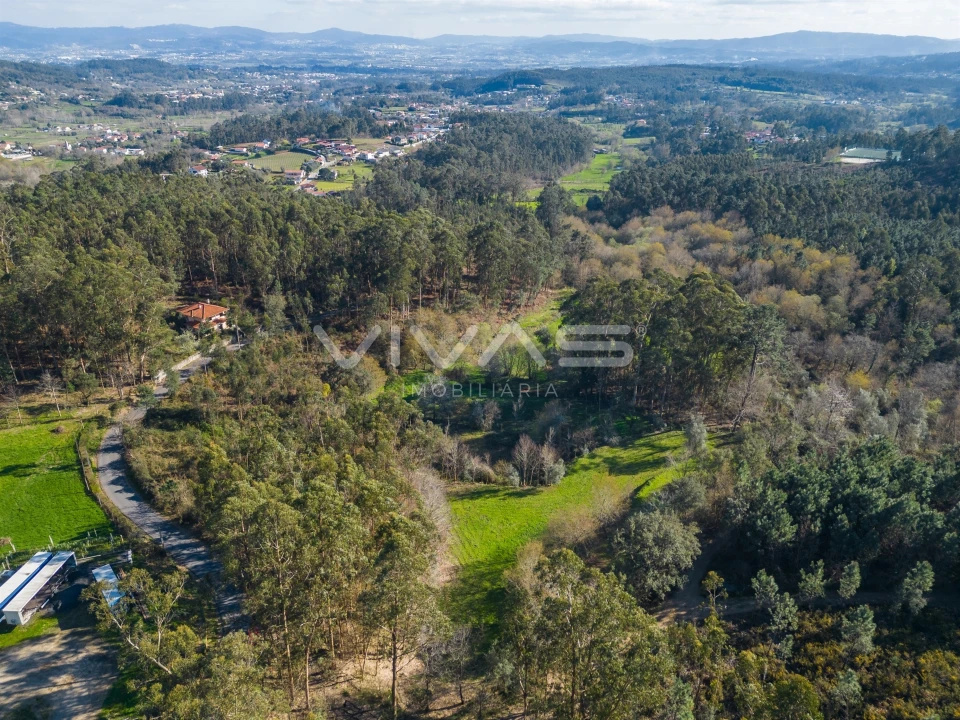 Terreno Agricola ou Rústico para Venda em Ribeira do Neiva Foto 7