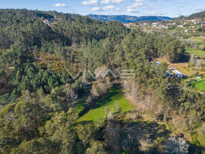 Terreno Agricola ou Rústico para Venda em Ribeira do Neiva Foto 21