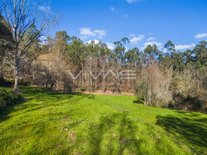 Terreno Agricola ou Rústico para Venda em Ribeira do Neiva Foto 16