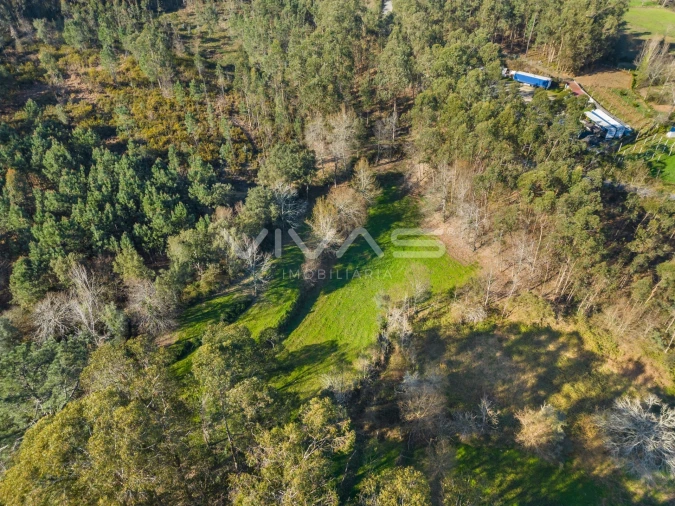 Terreno Agricola ou Rústico para Venda em Ribeira do Neiva Foto 20