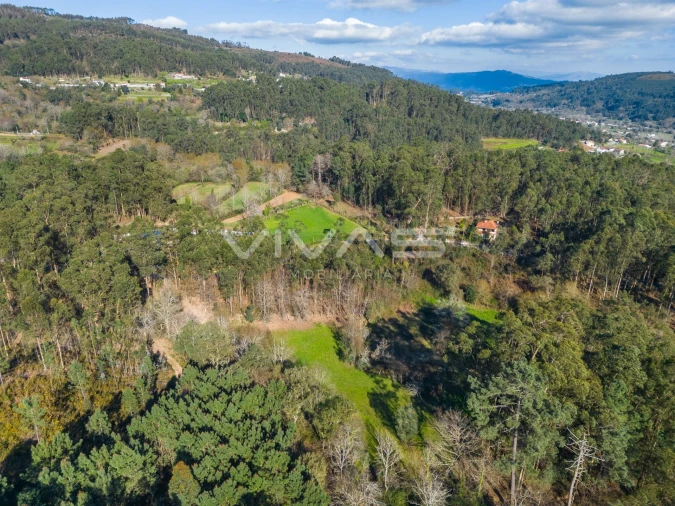 Terreno Agricola ou Rústico para Venda em Ribeira do Neiva Foto 10