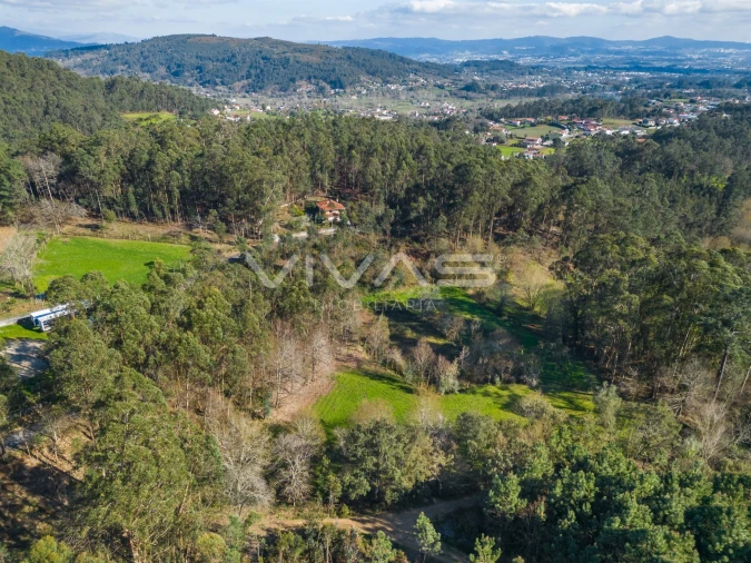 Terreno Agricola ou Rústico para Venda em Ribeira do Neiva Foto 8