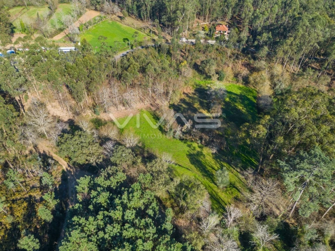 Terreno Agricola ou Rústico para Venda em Ribeira do Neiva Foto 9