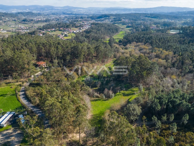 Terreno Agricola ou Rústico para Venda em Ribeira do Neiva Foto 7