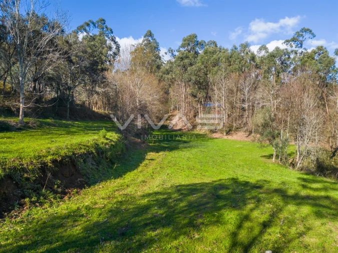 Terreno Agricola ou Rústico para Venda em Ribeira do Neiva Foto 14