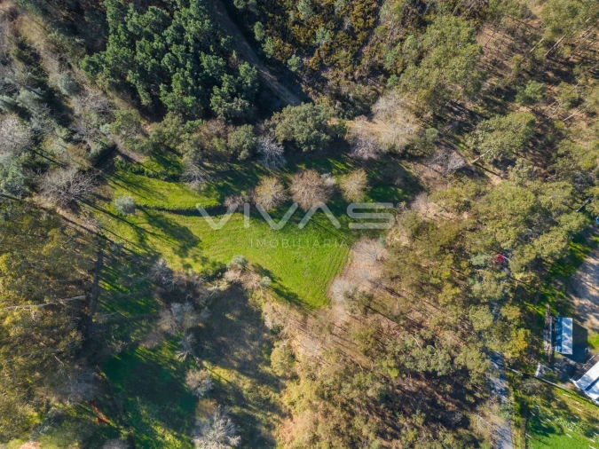 Terreno Agricola ou Rústico para Venda em Ribeira do Neiva Foto 5