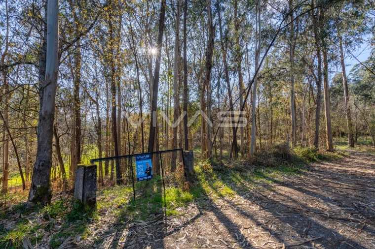 Terreno Agricola ou Rústico para Venda em Ribeira do Neiva Foto 24